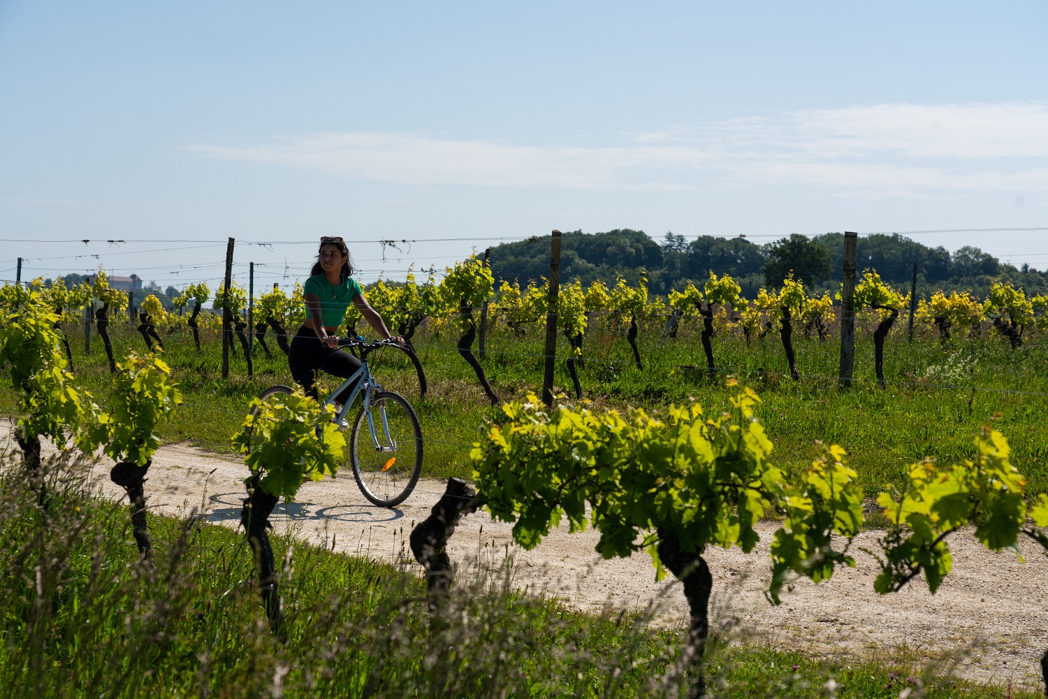 Personne à vélo dans le vignoble de Duras